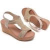 image:imageRuiee Wide Width Wedge Sandals for Women Comfortable Ankle Strap Open Toe Summer Shoes Platform Wedge Dressy Women SandalsBeige 8012